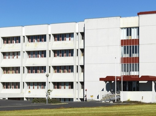 Meistarapróf í Læknadeild