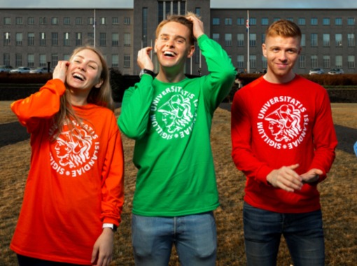 Móttaka nýnema í grunnskólakennslu yngri barna