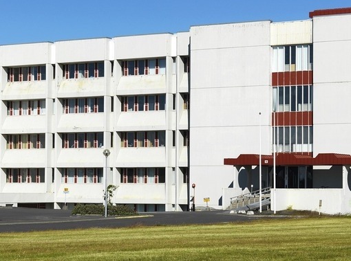 Meistarapróf í Læknadeild