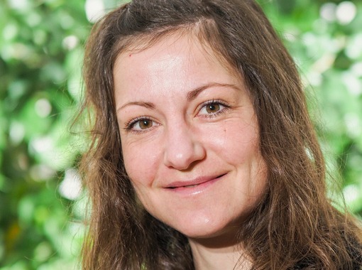 Þróun blómhluta vegna virkni og vals frjóbera