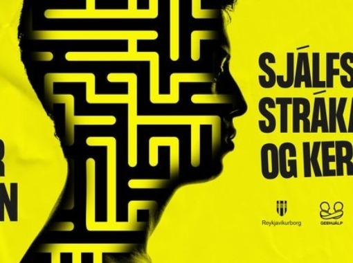 En ég var einn! - Strákar sem rekast á í skólakerfinu