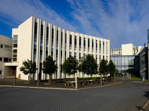 Kynning á MA-ritgerðum í ensku