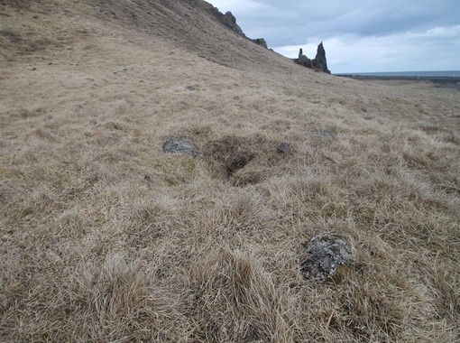 Fornleifakönnun á nokkrum örnefnum á Ströndum