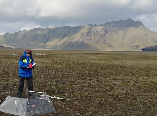 Málþing til heiðurs Ingibjörgu Svölu Jónsdóttur, prófessor emerita