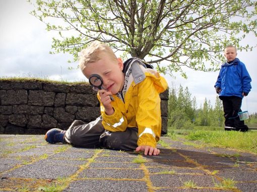 Með fróðleik í fararnesti: Pöddulíf í Elliðaárdal 
