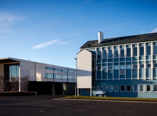 Tómstundadagurinn 2021 - Lifum og leikum