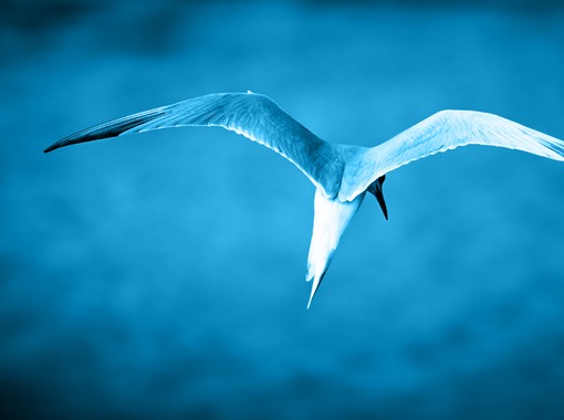 Áskoranir á norðurslóðum: Mikilvægi samstarfs