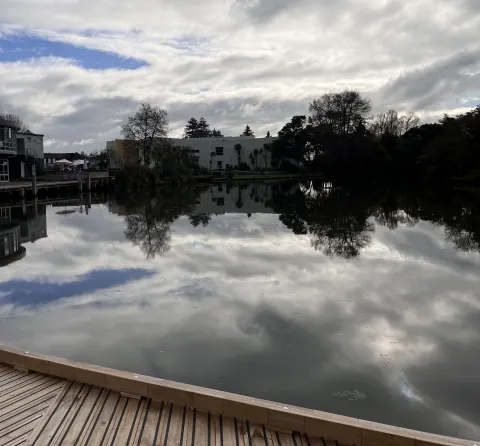 Frá háskólasvæði Waikato-háskóla