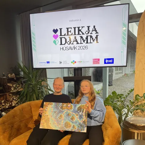 Leikjadjamm