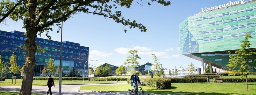 Erasmus+ starfsþjálfun