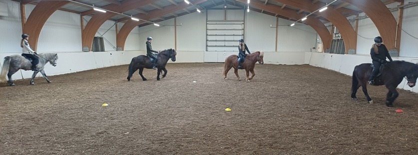 4 knapar á hestum inni í reiðhöll