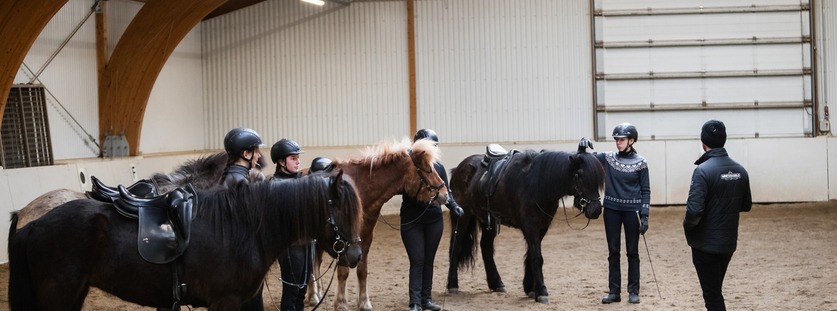 Nemandur og hestar þeirra inni í reiðhöll