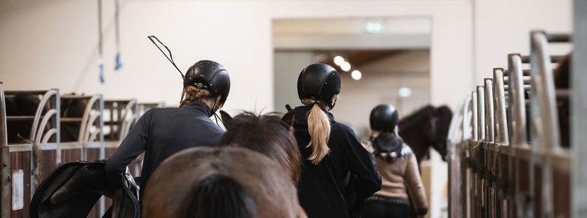 Knapar leiða hesta inni í hesthúsi